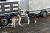 IMG_6153.jpg