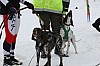 IMG_6164.jpg