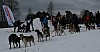 IMG_6172.jpg