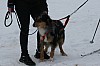 IMG_6177.jpg