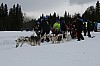 IMG_6181.jpg