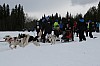 IMG_6182.jpg