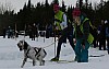 IMG_6188.jpg
