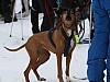 IMG_6191.jpg
