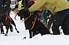 IMG_6198.jpg
