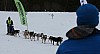 IMG_6207.jpg