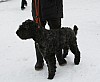 IMG_6209.jpg