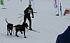 IMG_6211.jpg