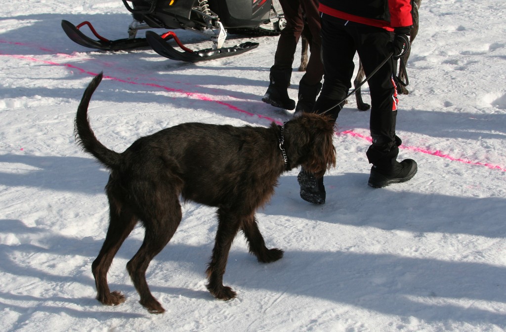 IMG_6216.jpg