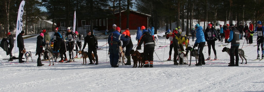 IMG_6230.jpg