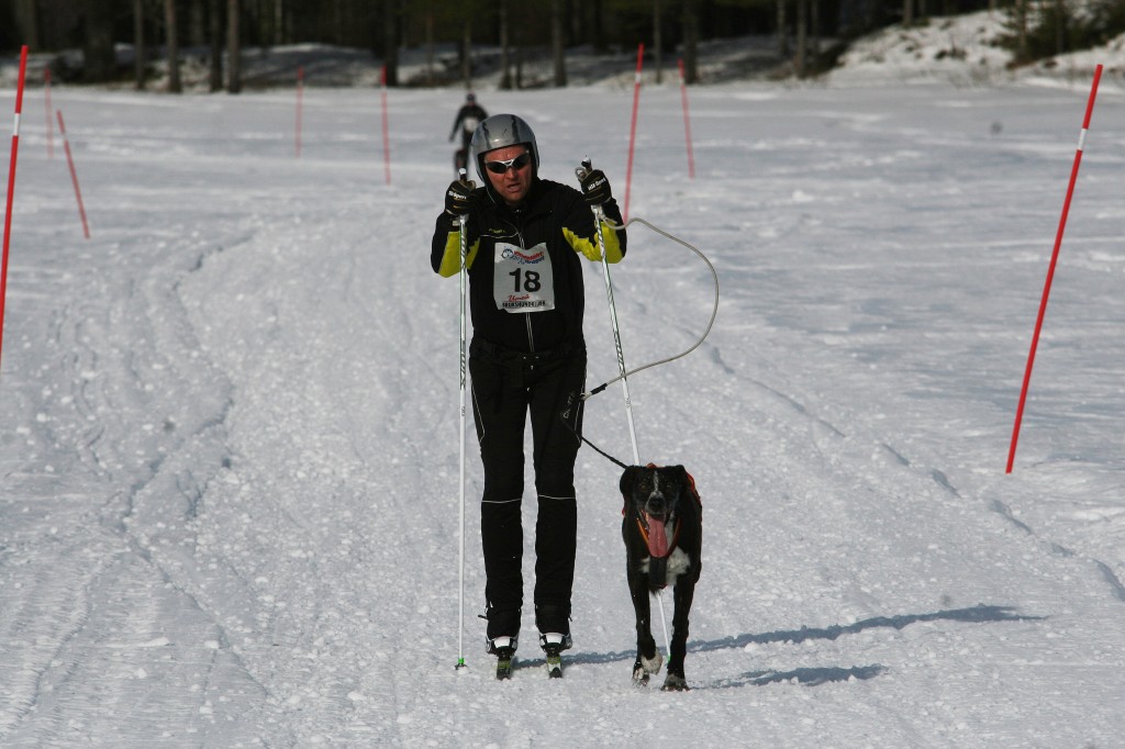 IMG_6251.jpg