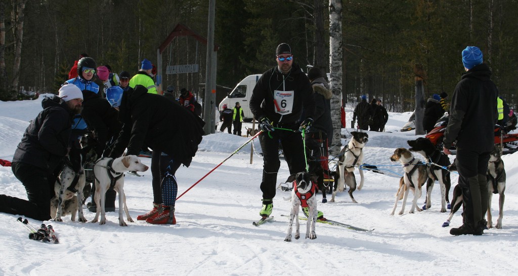 IMG_6269.jpg