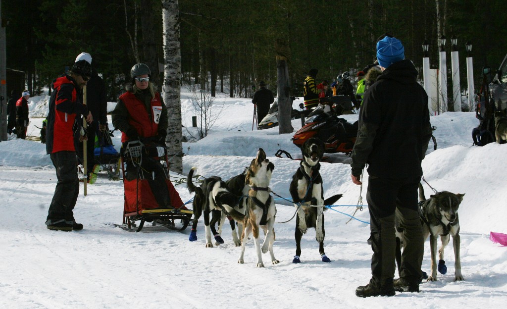 IMG_6270.jpg