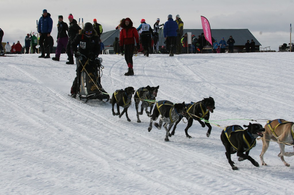 IMG_6277.jpg