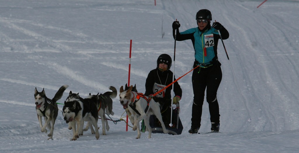 IMG_6290.jpg