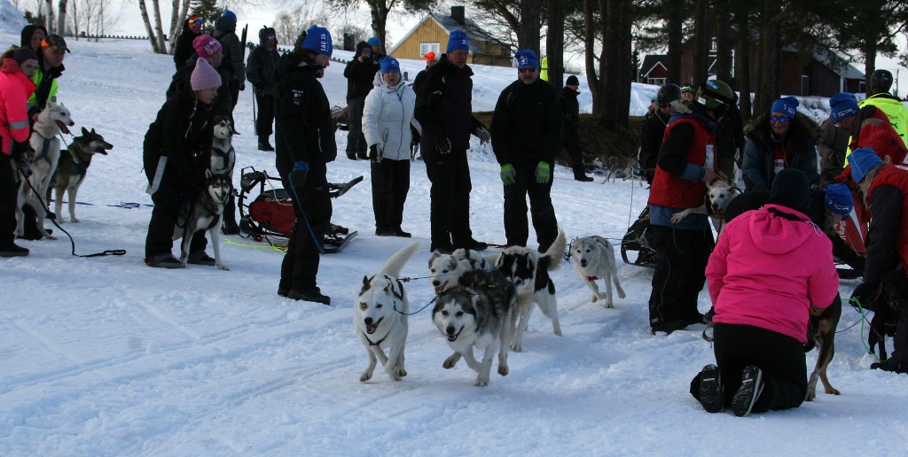 IMG_6305.jpg