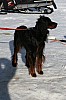 IMG_6214.jpg