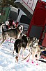IMG_6215.jpg