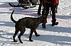 IMG_6216.jpg