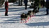 IMG_6218.jpg