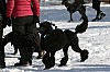 IMG_6224.jpg