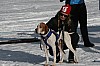 IMG_6227.jpg