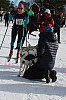 IMG_6233.jpg