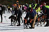 IMG_6234.jpg