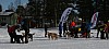 IMG_6235.jpg