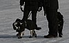IMG_6240.jpg
