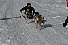 IMG_6246.jpg
