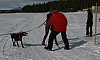 IMG_6252.jpg
