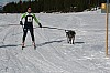 IMG_6256.jpg