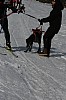IMG_6258.jpg