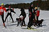 IMG_6259.jpg