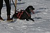 IMG_6260.jpg