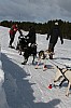 IMG_6261.jpg