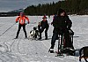 IMG_6262.jpg