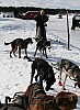 IMG_6263.jpg