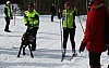IMG_6265.jpg