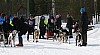 IMG_6267.jpg