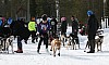 IMG_6268.jpg
