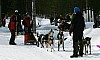 IMG_6270.jpg