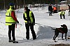 IMG_6273.jpg