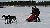 IMG_6274.jpg