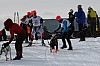 IMG_6276.jpg