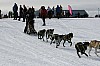 IMG_6277.jpg