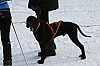 IMG_6279.jpg