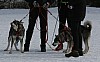 IMG_6281.jpg