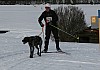 IMG_6282.jpg